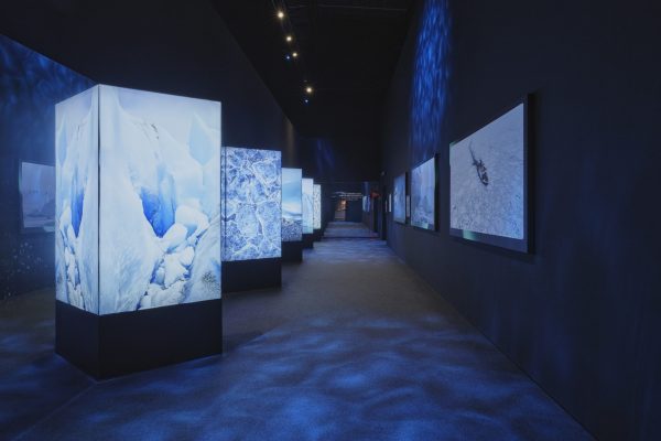 Leuchtende Eislandschaften im Bereich Faszination Eis der immersiven Polar Experience Ausstellung.