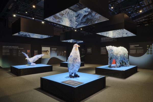 Lebensraum Tier in der Polar Experience mit Exponaten zu Eisbär, Pinguin, Ringelrobbe und arktischem Seeadler.