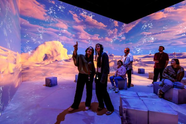 Immersive Polar Experience Ausstellung mit 360°-Projektionen zu Arktis und Antarktis.