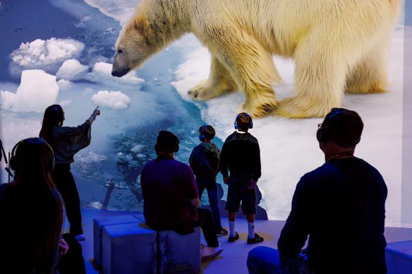 Immersive Polar Experience Ausstellung mit 360°-Projektion zu Arktis und Antarktis.