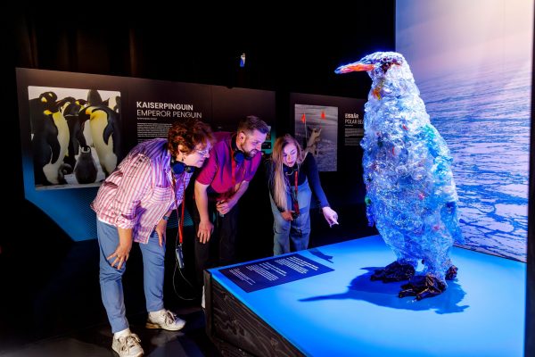 polar-experience-kaiserpinguin-lebensraum-tier-antarktis.jpg