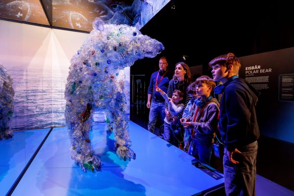 Lebensraum Tier in der Polar Experience mit Exponaten zu Eisbär, Pinguin, Ringelrobbe und arktischem Seeadler.